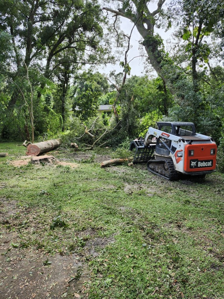 Storm preparation tree work in Orlando