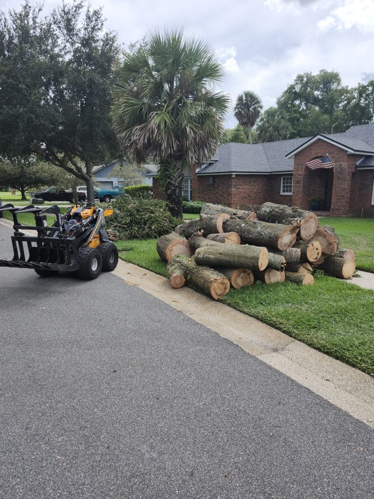 Tree removal equipment and cut logs at an Orlando home