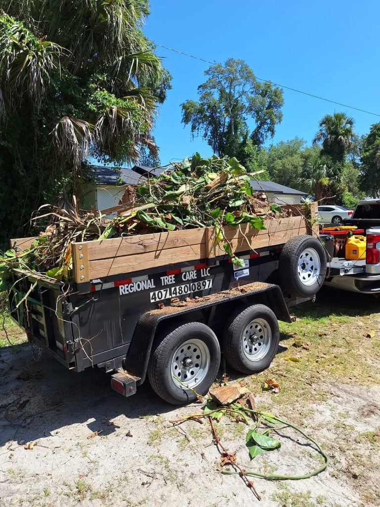 Trailer loaded with tree debris after a completed job