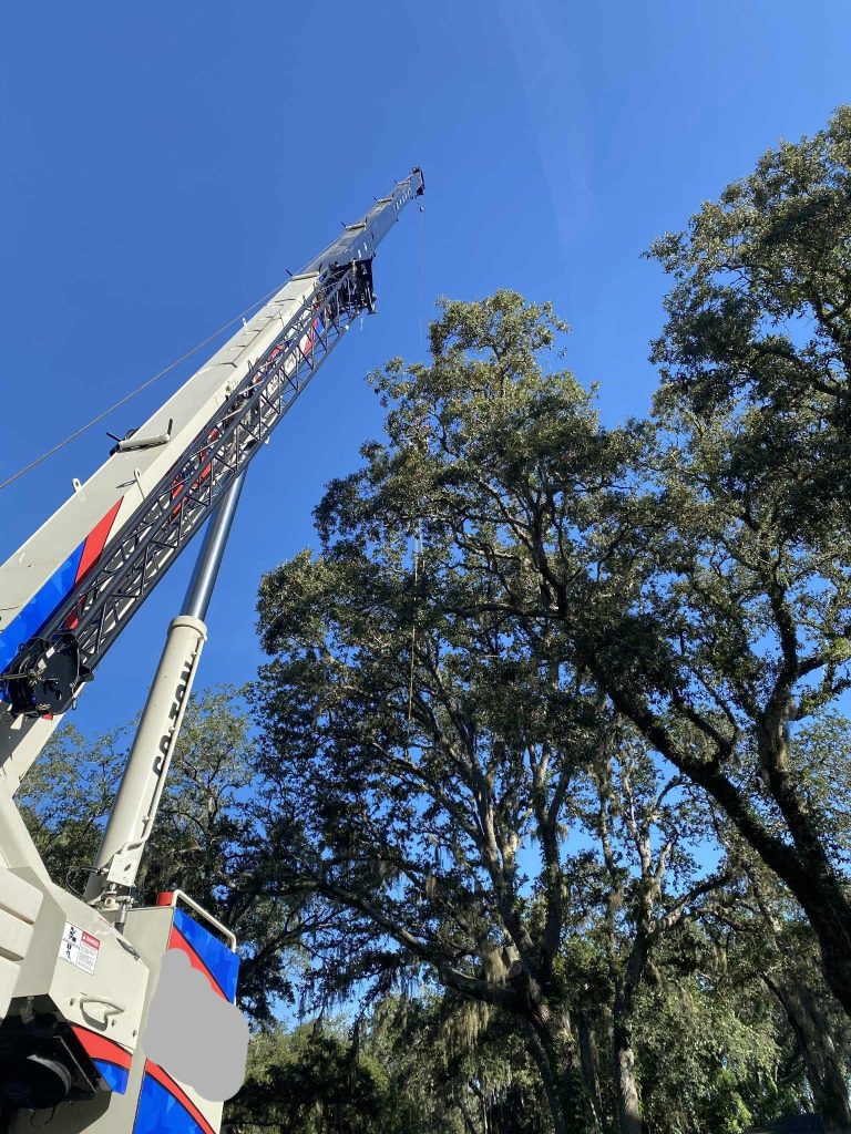 Crane-assisted tree removal by Regional Tree Care
