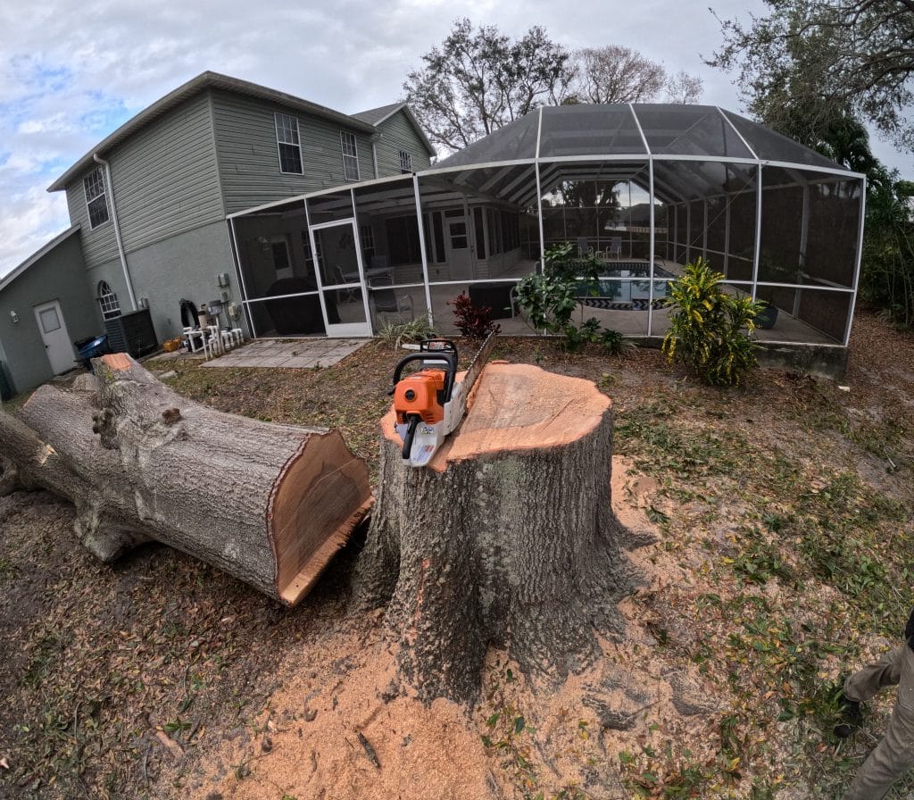 Removed tree stump beside a residential house