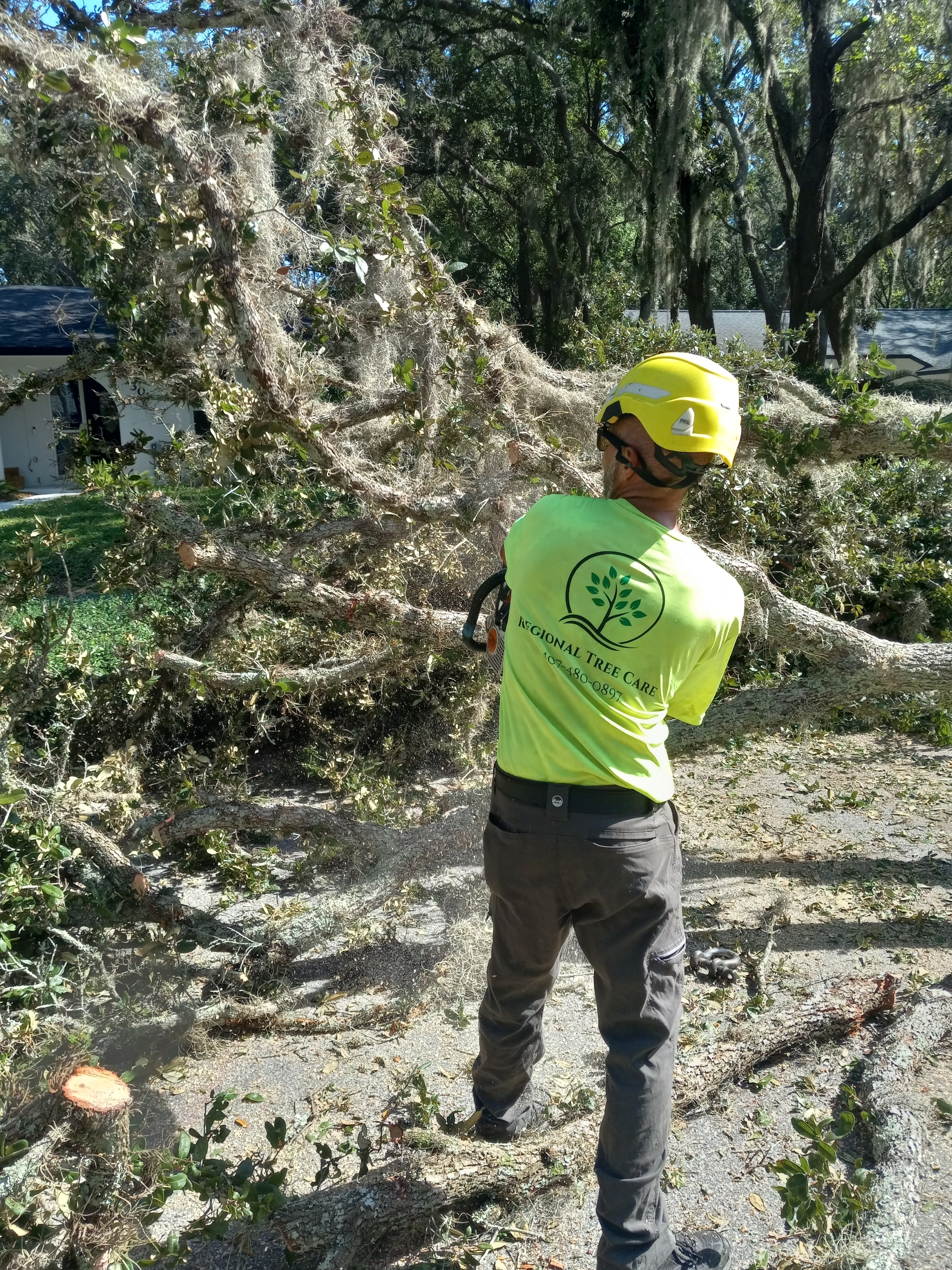 Regional Tree Care crew member cutting storm-damaged limbs