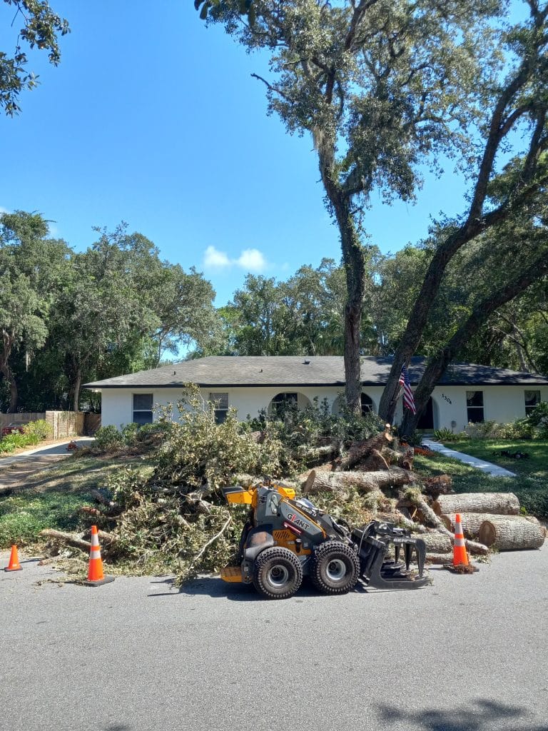 Tree debris cleanup at a residential property
